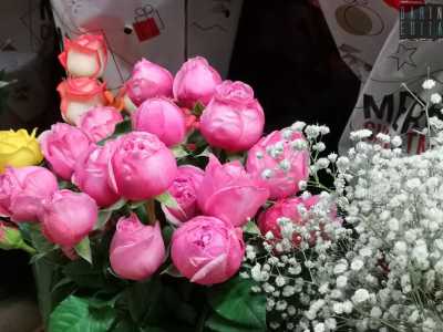 Prima di andar via siamo sopraffatti dallo splendore di alcune rose rosa molto particolari. �Sono inglesi e indicano raffinatezza: la loro forma ricorda la sagoma di una coppa composta da tantissimi petali�, conclude Peppino regalandocene un mazzetto